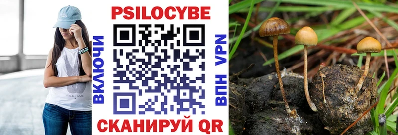 Псилоцибиновые грибы Magic Shrooms  Чернушка 